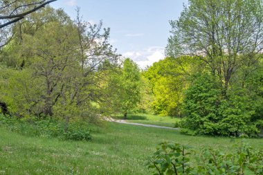 Bulgaristan 'ın Sofya kentindeki South Park' ın şaşırtıcı bahar manzarası