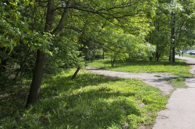 Bulgaristan 'ın Sofya kentindeki South Park' ın şaşırtıcı bahar manzarası