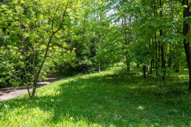 Bulgaristan 'ın Sofya kentindeki South Park' ın şaşırtıcı bahar manzarası