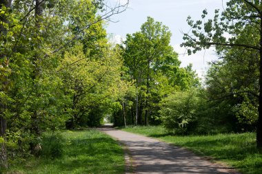 Bulgaristan 'ın Sofya kentindeki South Park' ın şaşırtıcı bahar manzarası