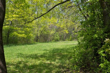 Bulgaristan 'ın Sofya kentindeki South Park' ın şaşırtıcı bahar manzarası