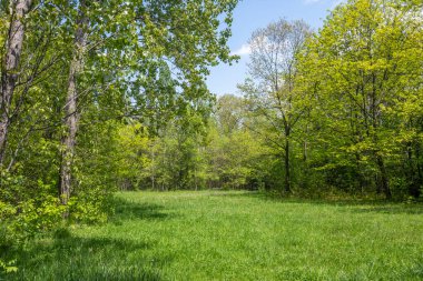 Bulgaristan 'ın Sofya kentindeki South Park' ın şaşırtıcı bahar manzarası