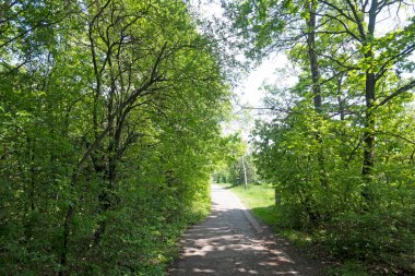 Bulgaristan 'ın Sofya kentindeki South Park' ın şaşırtıcı bahar manzarası