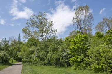 Bulgaristan 'ın Sofya kentindeki South Park' ın şaşırtıcı bahar manzarası