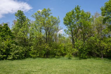 Bulgaristan 'ın Sofya kentindeki South Park' ın şaşırtıcı bahar manzarası