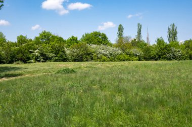 Bulgaristan 'ın Sofya kentindeki South Park' ın şaşırtıcı bahar manzarası