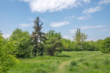 Bulgaristan 'ın Sofya kentindeki South Park' ın şaşırtıcı bahar manzarası