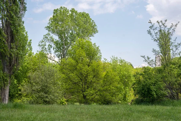 stock image Amazing Spring view of South Park in city of Sofia, Bulgaria