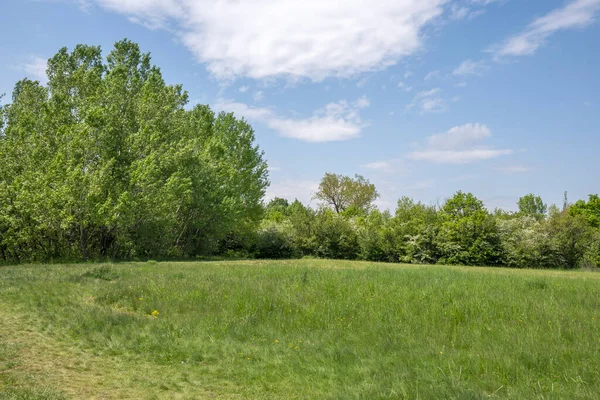 stock image Amazing Spring view of South Park in city of Sofia, Bulgaria