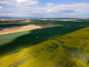 Bulgaristan 'ın Filibe Bölgesi' nin Kostievo köyü yakınlarındaki Blooming tecavüz tarlasının hava manzarası