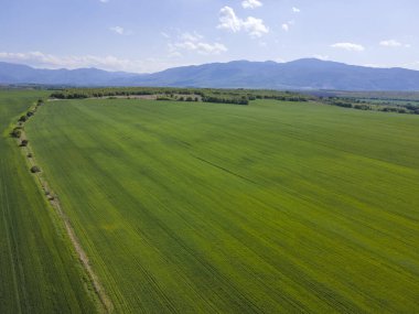 Bulgaristan 'ın Filibe Bölgesi' nin Asenovgrad kenti yakınlarındaki Yukarı Trakya Ovası 'nın hava manzarası