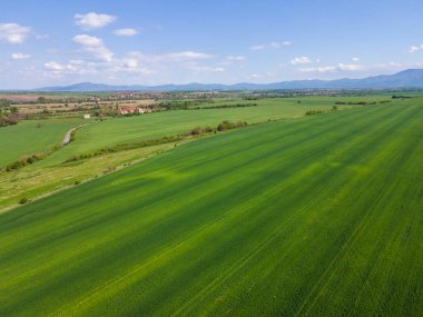Bulgaristan 'ın Filibe Bölgesi' nin Asenovgrad kenti yakınlarındaki Yukarı Trakya Ovası 'nın hava manzarası
