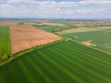 Bulgaristan 'ın Filibe Bölgesi' nin Asenovgrad kenti yakınlarındaki Yukarı Trakya Ovası 'nın hava manzarası