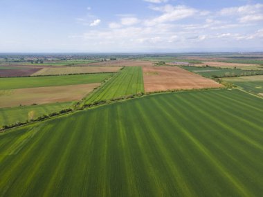Bulgaristan 'ın Filibe Bölgesi' nin Asenovgrad kenti yakınlarındaki Yukarı Trakya Ovası 'nın hava manzarası
