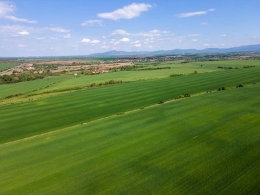 Bulgaristan 'ın Filibe Bölgesi' nin Asenovgrad kenti yakınlarındaki Yukarı Trakya Ovası 'nın hava manzarası