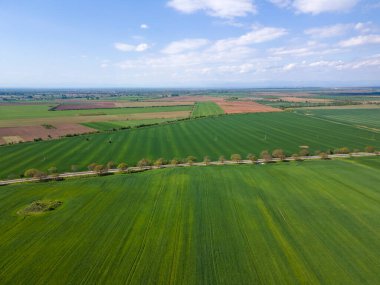 Bulgaristan 'ın Filibe Bölgesi' nin Asenovgrad kenti yakınlarındaki Yukarı Trakya Ovası 'nın hava manzarası