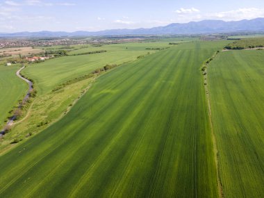Bulgaristan 'ın Filibe Bölgesi' nin Asenovgrad kenti yakınlarındaki Yukarı Trakya Ovası 'nın hava manzarası