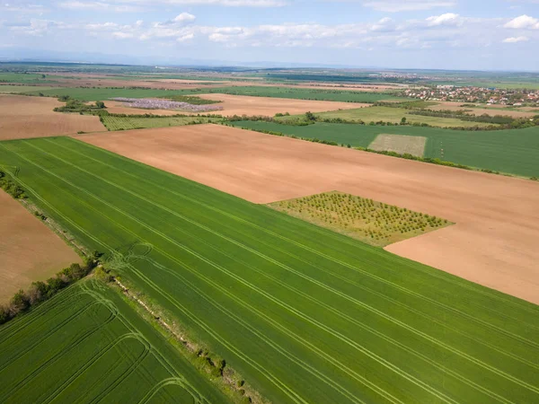 Bulgaristan 'ın Filibe Bölgesi' nin Asenovgrad kenti yakınlarındaki Yukarı Trakya Ovası 'nın hava manzarası