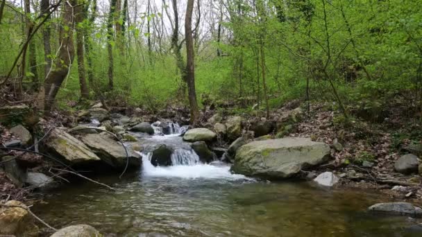 Весенний Вид Водопада Реке Мары Гора Бельцы Болгария — стоковое видео