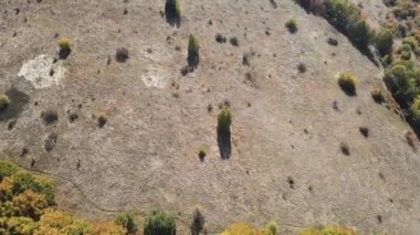 Bulgaristan 'ın Vitosha Dağı' nın şaşırtıcı sonbahar manzarası