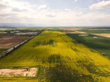 Bulgaristan 'ın Filibe Bölgesi' nin Kostievo köyü yakınlarındaki Blooming tecavüz tarlasının hava manzarası