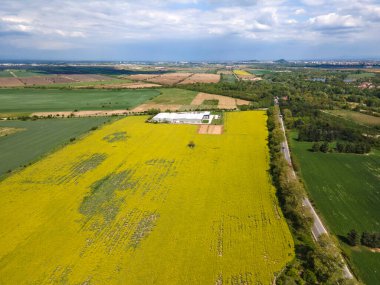 Bulgaristan 'ın Filibe Bölgesi' nin Kostievo köyü yakınlarındaki Blooming tecavüz tarlasının hava manzarası