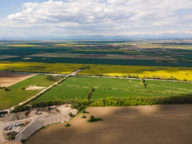 Bulgaristan 'ın Filibe Bölgesi' nin Kostievo köyü yakınlarındaki Blooming tecavüz tarlasının hava manzarası