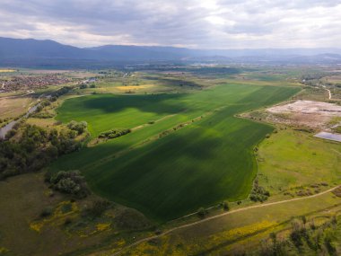 Bulgaristan 'ın Filibe Bölgesi' nin Kostievo köyü yakınlarındaki Blooming tecavüz tarlasının hava manzarası