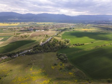 Bulgaristan 'ın Filibe Bölgesi' nin Kostievo köyü yakınlarındaki Blooming tecavüz tarlasının hava manzarası