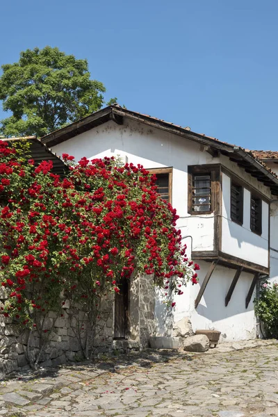 保加利亚普罗夫迪夫老城典型的街道和房屋 — 图库照片