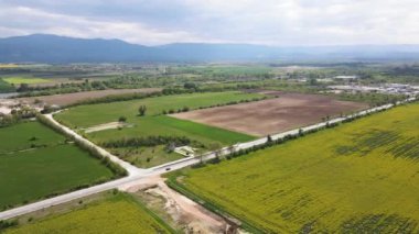 Bulgaristan 'ın Filibe Bölgesi' nin Kostievo köyü yakınlarındaki Blooming tecavüz tarlasının hava manzarası