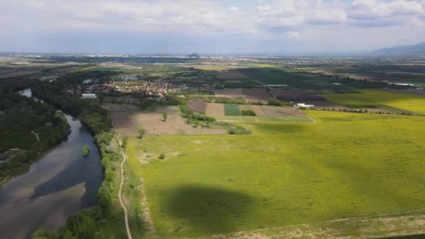 保加利亚普罗夫迪夫地区Kostievo村附近开花菜地的空中景观 — 图库视频影像