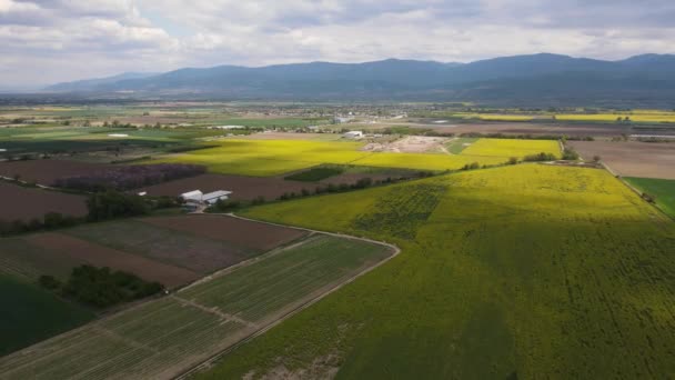 Vista Aérea Campo Colza Florescente Perto Aldeia Kostievo Região Plovdiv — Vídeo de Stock