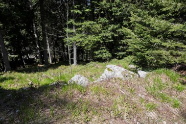 Bulgaristan 'ın Sofya Şehir Bölgesi Vitosha Dağı' ndaki Konyarnika bölgesinin bahar manzarası