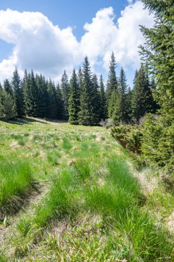 Bulgaristan 'ın Sofya Şehir Bölgesi Vitosha Dağı' ndaki Konyarnika bölgesinin bahar manzarası