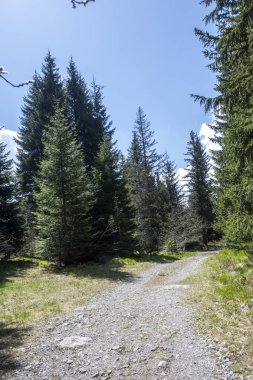 Bulgaristan 'ın Sofya Şehir Bölgesi Vitosha Dağı' ndaki Konyarnika bölgesinin bahar manzarası