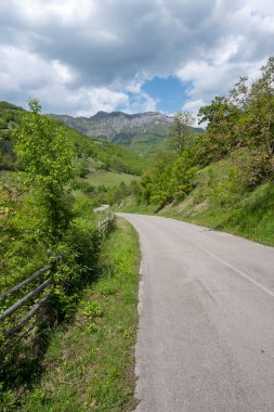 Ochindol, Vratsa bölgesi yakınlarındaki Iskar Nehri Boğazı 'nın bahar manzarası, Balkan Dağları, Bulgaristan