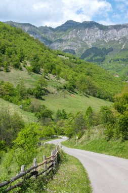 Ochindol, Vratsa bölgesi yakınlarındaki Iskar Nehri Boğazı 'nın bahar manzarası, Balkan Dağları, Bulgaristan