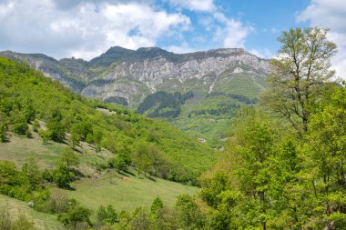 Ochindol, Vratsa bölgesi yakınlarındaki Iskar Nehri Boğazı 'nın bahar manzarası, Balkan Dağları, Bulgaristan