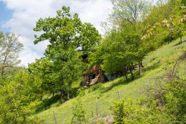 Ochindol, Vratsa bölgesi yakınlarındaki Iskar Nehri Boğazı 'nın bahar manzarası, Balkan Dağları, Bulgaristan