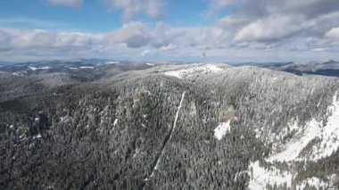 Aerial winter view of Rhodope Mountains around resort of Pamporovo, Smolyan Region, Bulgaria