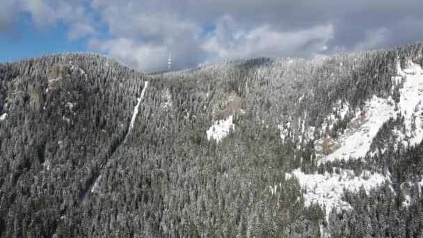 Aerial Winter View Rhodope Mountains Resort Pamporovo Smolyan Region Bulgaria — Stockvideo