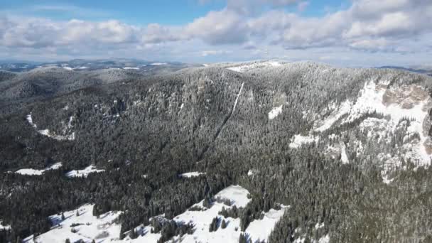 Vista Aerea Invernale Delle Montagne Rodopi Intorno Alla Località Pamporovo — Video Stock