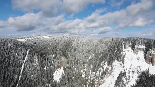 Zimowy Widok Powietrza Rodopy Wokół Kurortu Pamporovo Obwód Smoliański Bułgaria — Wideo stockowe