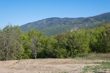Bulgaristan 'ın Filibe Bölgesi' nin Kuklen kenti yakınlarındaki Rhodopes Dağı 'nın bahar manzarası