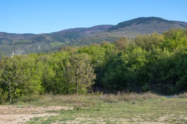 Bulgaristan 'ın Filibe Bölgesi' nin Kuklen kenti yakınlarındaki Rhodopes Dağı 'nın bahar manzarası
