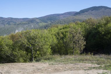 Bulgaristan 'ın Filibe Bölgesi' nin Kuklen kenti yakınlarındaki Rhodopes Dağı 'nın bahar manzarası