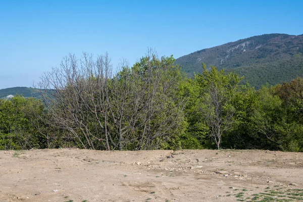 stock image Spring view of Rhodopes Mountain near town of Kuklen, Plovdiv Region, Bulgaria