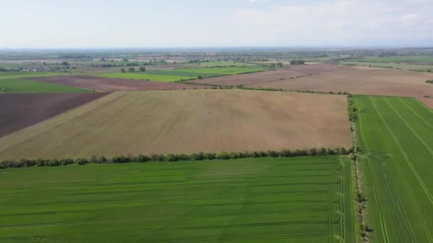 Letecký Pohled Horní Thrákskou Pláň Města Asenovgrad Plovdivsko Bulharsko — Stock video