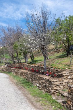 Bulgaristan 'ın Blagoevgrad Bölgesi, Ograzhden Dağı' ndaki Dolene Köyü Panoraması